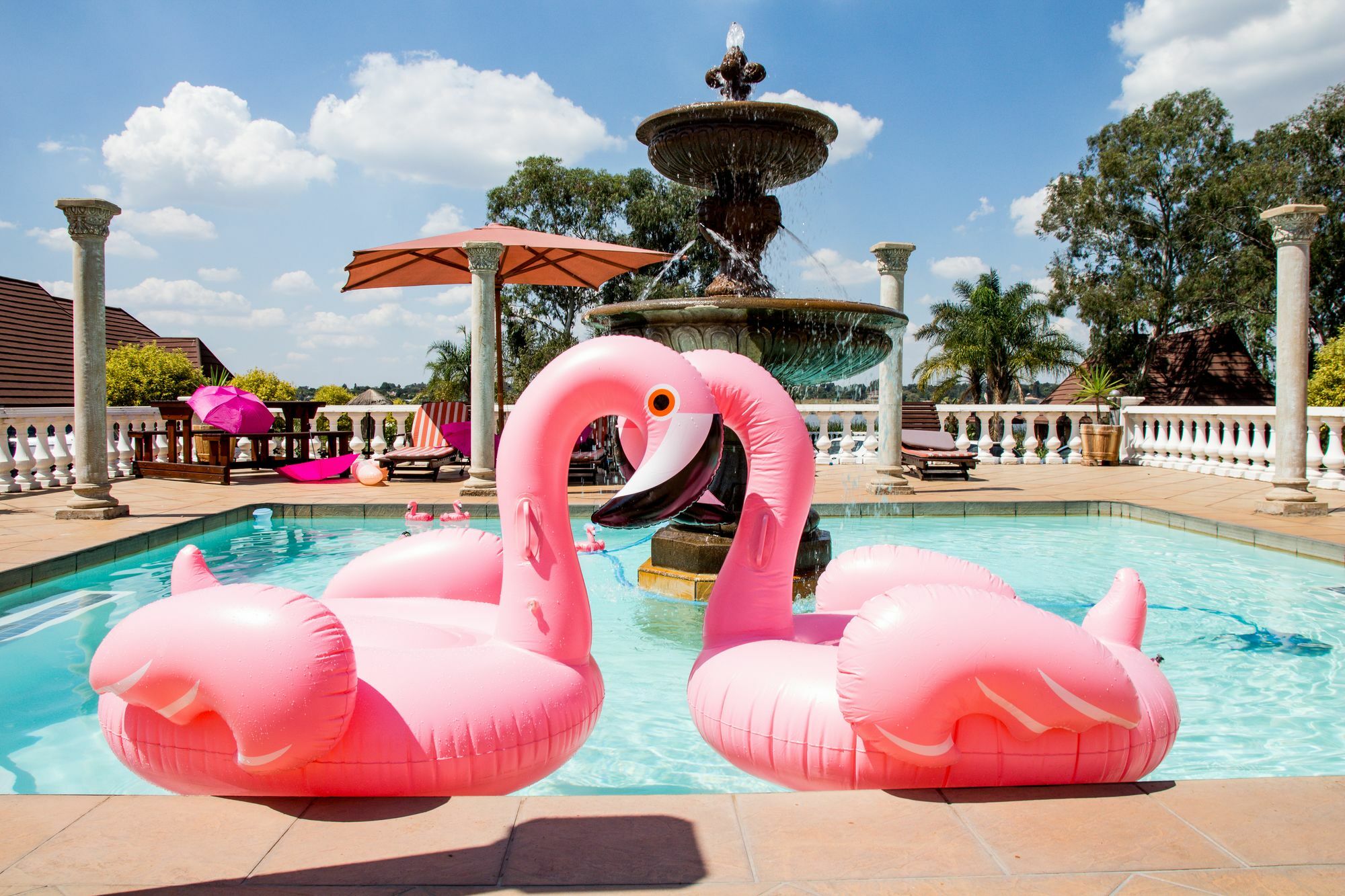באנוני Flamingo'S Nest Guest House מראה חיצוני תמונה
